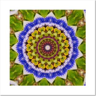 Kaleidoscope passion Posters and Art